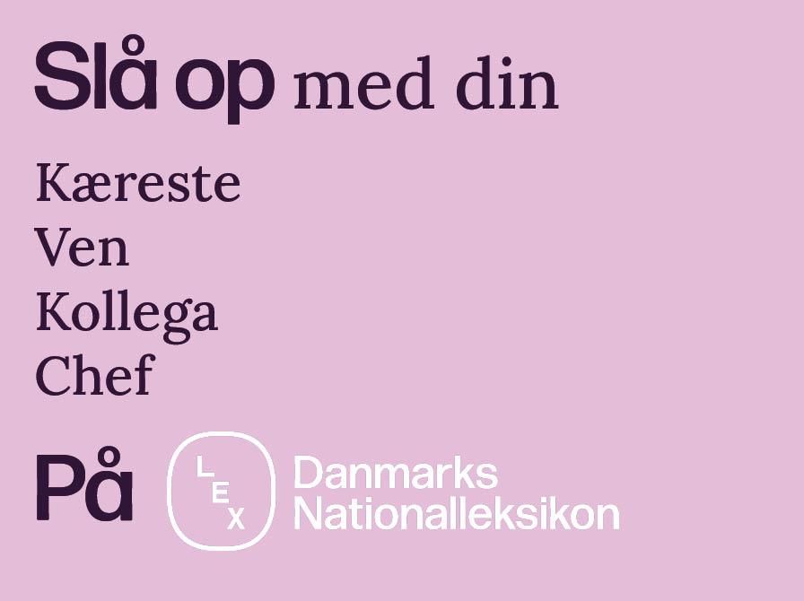 pr-foto for Danmarks Nationalleksikon lex.dk